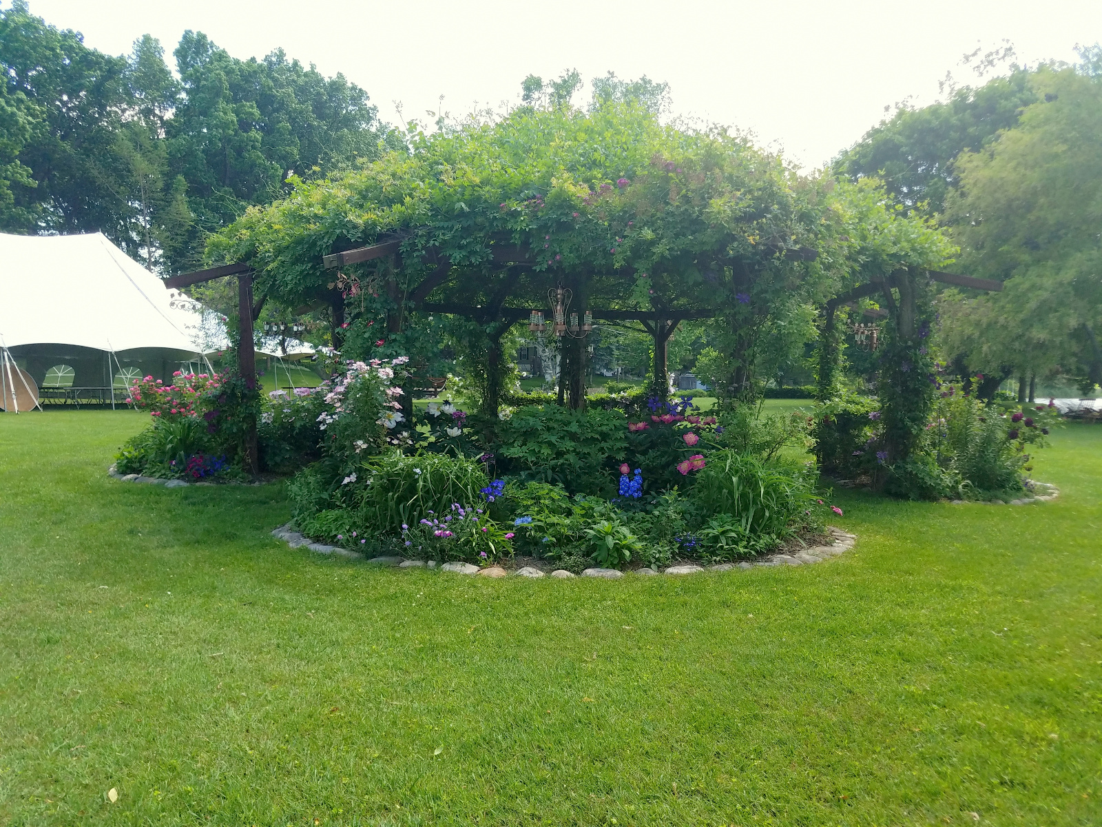 Climbing Roses and Clematis with Roses, Scabiosa, Sweet William and Delphinium inside flowerbeds